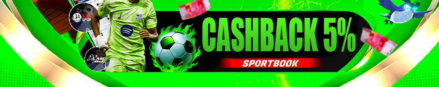 CASHBACK 5%